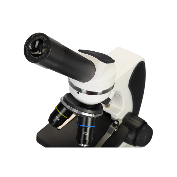 Levenhuk Discovery Pico mikroszkóp 05