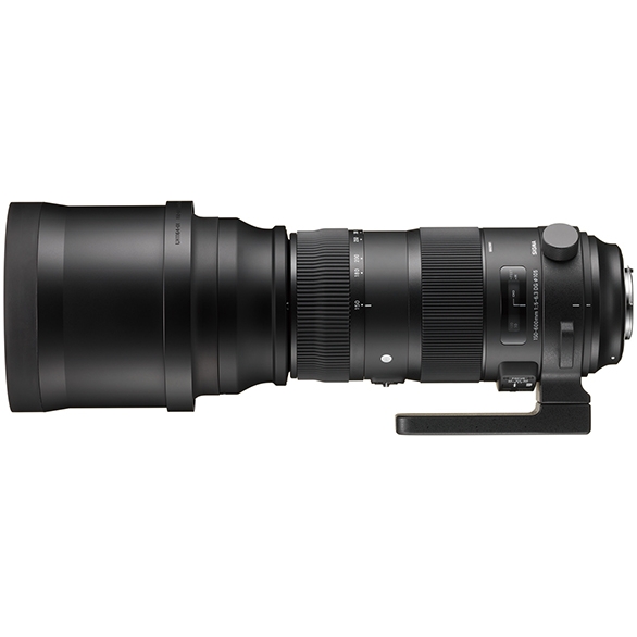 Sigma 150-600mm F5-6,3 DG OS HSM Sports (S) objektív Canon fényképezőgépekhez 04