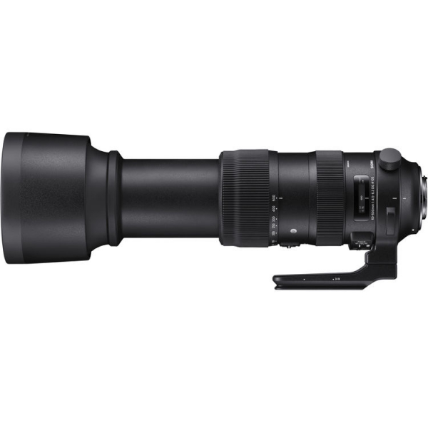 Sigma 60-600mm F4.5-6.3 DG OS HSM Sports objektív Nikon fényképezőgépekhez 07